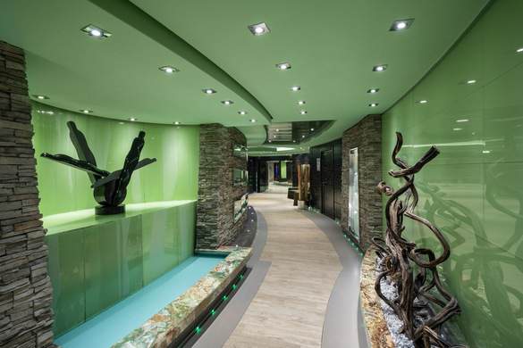 MSC Cruises MSC Fantasia MSC Aurea Spa - Credit - MSC Rights - Ivan Sarfatti 3.jpg